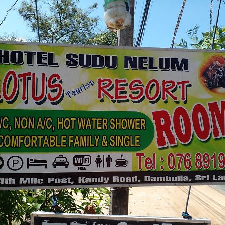 Lotus Inn Tourist Resort Dambulla Luaran gambar