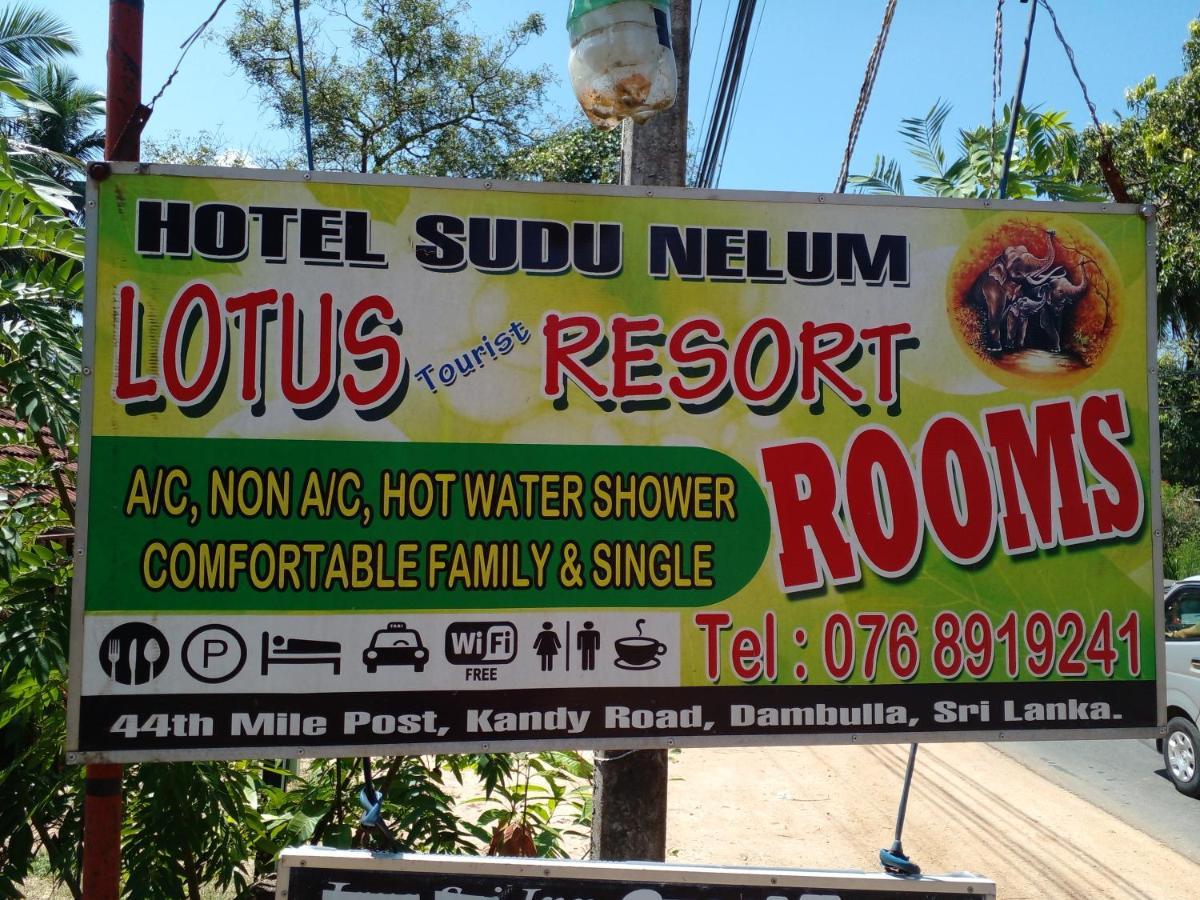 Lotus Inn Tourist Resort Dambulla Luaran gambar