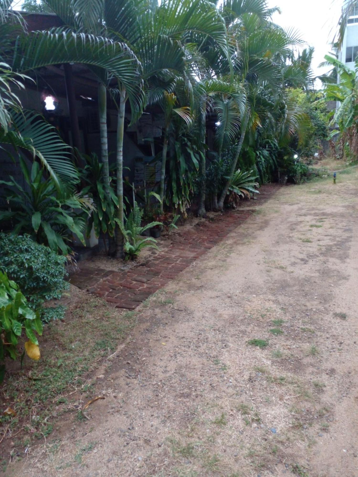 Lotus Inn Tourist Resort Dambulla Luaran gambar