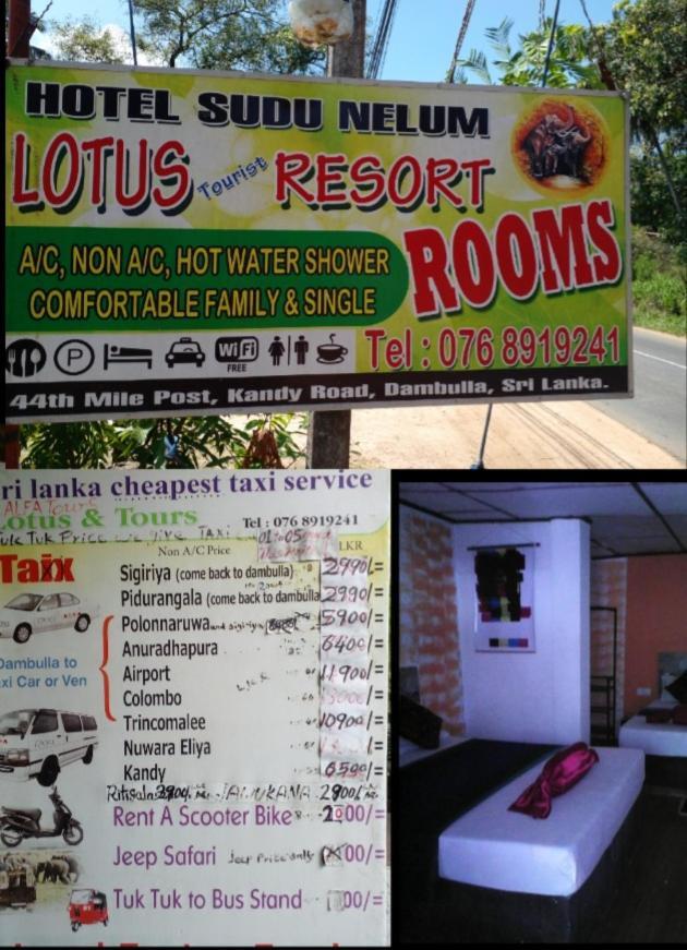 Lotus Inn Tourist Resort Dambulla Luaran gambar