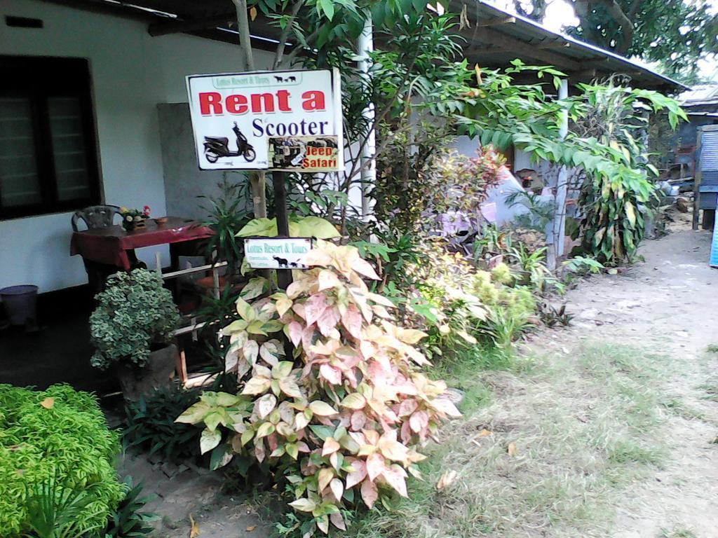 Lotus Inn Tourist Resort Dambulla Luaran gambar