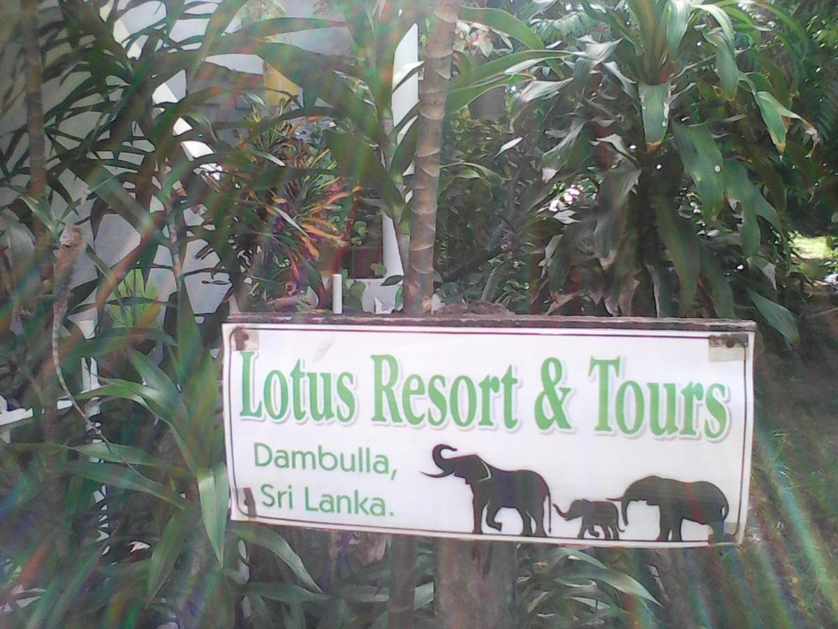 Lotus Inn Tourist Resort Dambulla Luaran gambar