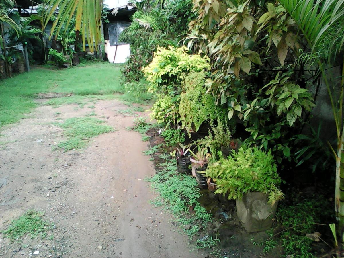 Lotus Inn Tourist Resort Dambulla Luaran gambar